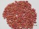 light red kidney beans---2009 crope