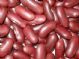 dark red kidney beans---2009 crope